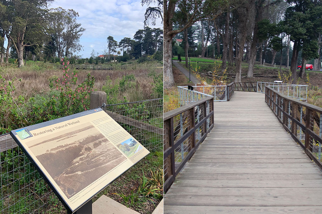 MacArthur Meadow wayside and boardwalk