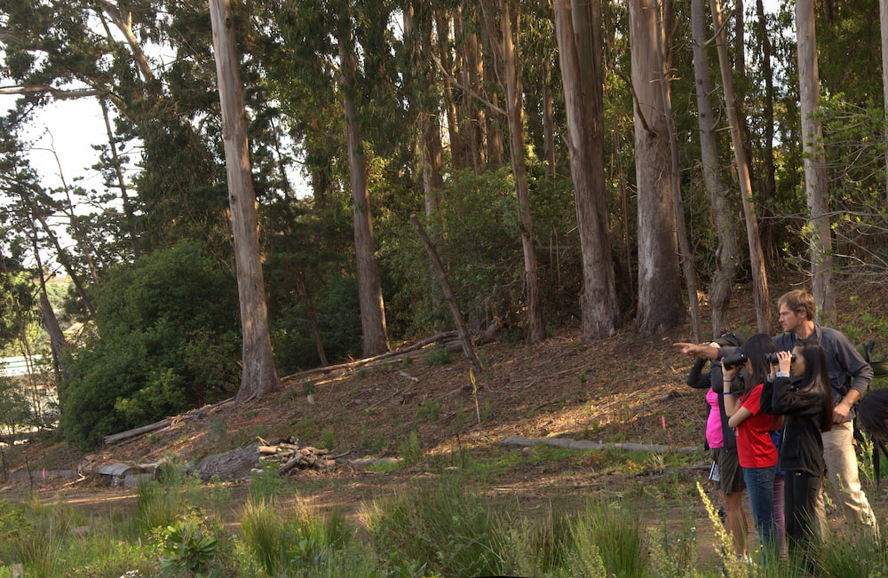 Kids and adult birdwatching in the Presidio