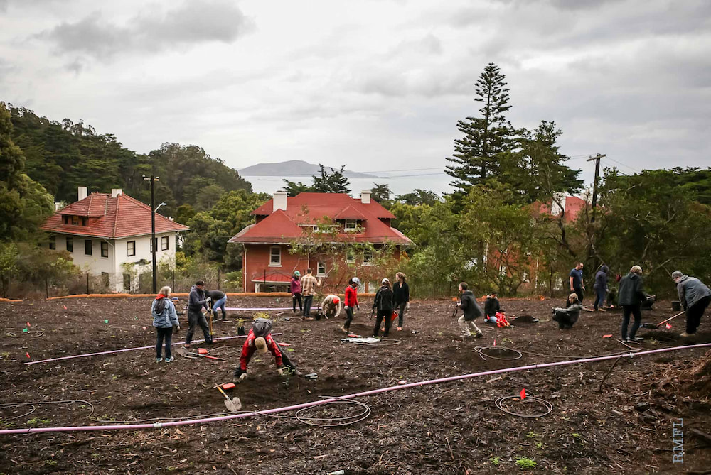 The planting site at Thomas Grove in December 2018.