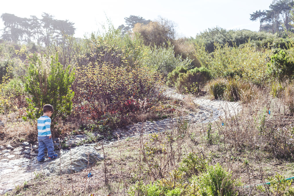 Child in blue and white walking on stoned area at El Polin Spring