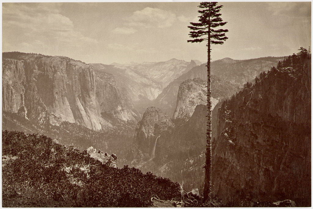 Mountain top view of Yosemite on Mariposa Trail