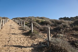 Sand Ladder at Baker Beach.