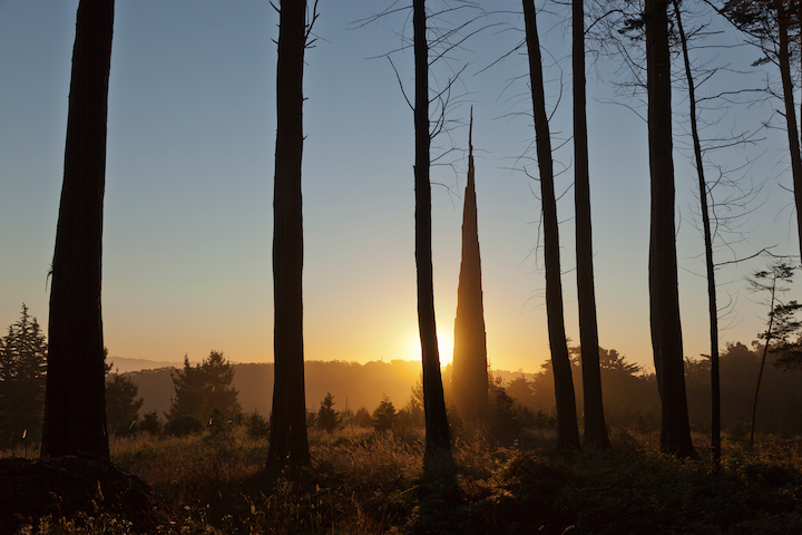 Image of spire in the wood with the sunset behind it