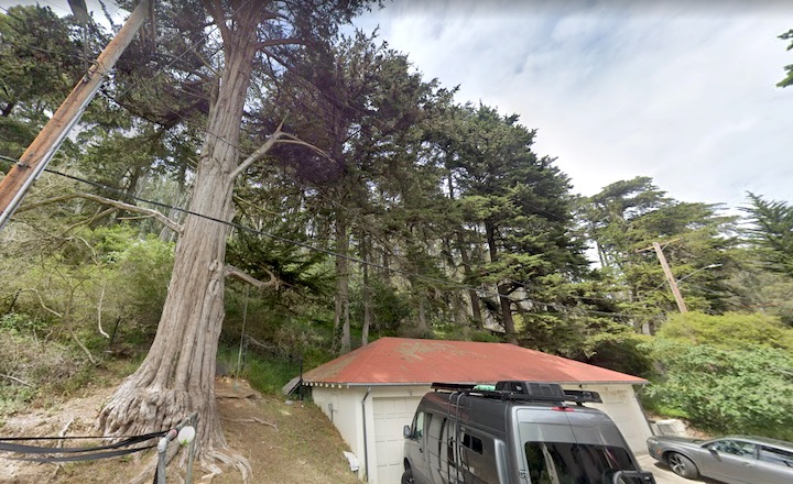 Trees hanging over power lines at the Thomas Redwood Reforestation site.