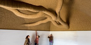 Andy Goldsworthy's Tree Fall