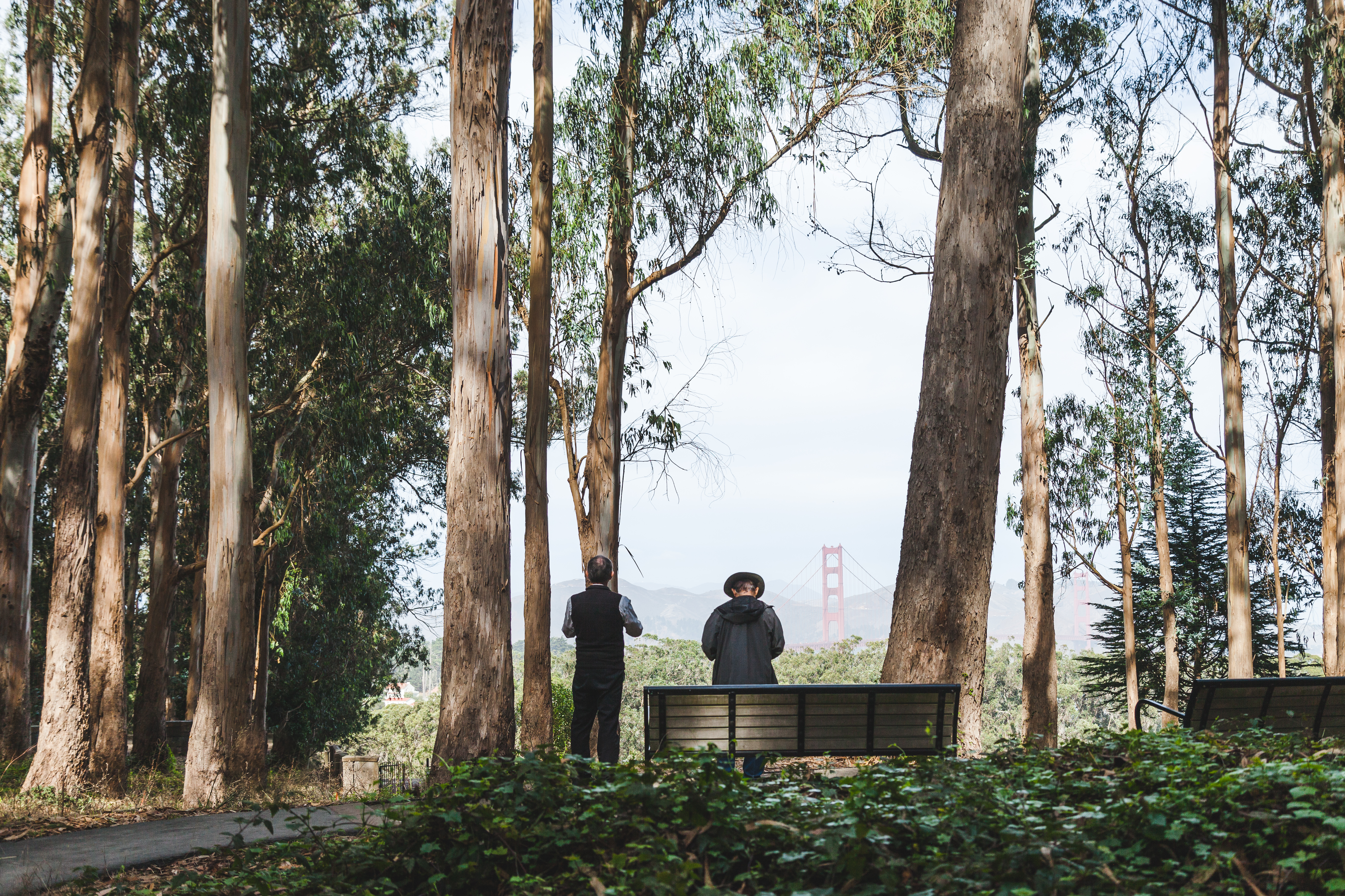 Two men looking out at the National Cemetery Overlook with the Golden Gate Bridge in the distance